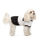 Сукня Chanti ТМ Pet Fashion для собак XS2 - Зображення 3