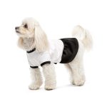 Сукня Chanti ТМ Pet Fashion для собак XS - Зображення 2