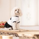 Сукня Chanti ТМ Pet Fashion для собак XS - Зображення 4