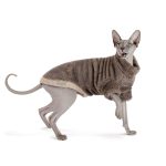 Светр Tim ТМ Pet Fashion для кота, М кавовий - Зображення 3