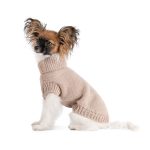 Комбінезон для собак Indigo Pet Fashion, М2 чорний - Зображення 3