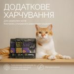 Хрумкі ласощі Savory Cats Snacks Pillows Hair Ball Control для дорослих котів, подушечки для виведення шерсті, 180 г - Зображення 3