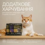 Хрумкі ласощі Savory Cats Snacks Pillows Gourmand with Chicken & Cheese для дорослих вибагливих котів, подушечки з куркою та сиром, 180 г - Зображення 3