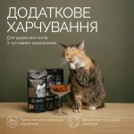 Хрумкі ласощі Savory Cats Snacks Pillows Sensitive для дорослих котів з чутливим травленням, 60 г - Зображення 3