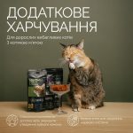 Хрумкі ласощі Savory Cats Snacks Crunchy Balls для дорослих вибагливих котів, кульки з котячою м’ятою, 60 г - Зображення 3