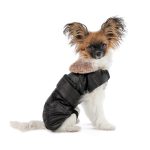 Попона Pet Fashion Ted для собак чорний/сірий ХL - Зображення 3