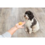 Ласощі Trixie PREMIO Lolly with chicken and rice, bulk для котів  PREMIO Льодяник з куркою та рисом, ваговий, 10 см, 35 г_30 шт - Зображення 3