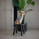Майка Pet Fashion Tropic для собак L - Зображення 3