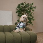 Футболка Pet Fashion Breeze для собак М - Зображення 3