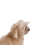 Кепка Pet Fashion Glamor для собак ХS - Зображення 2