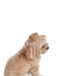 Панама Pet Fashion Print для собак XL - Зображення 2