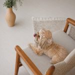 Панама Pet Fashion Print для собак XL - Зображення 3