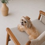 Панама Pet Fashion Print для собак L - Зображення 6