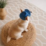 Панама Pet Fashion Stars для собак XS - Зображення 6
