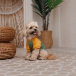 Футболка Pet Fashion Kent для собак XS - Зображення 3