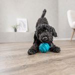 Іграшка Trixie для собак М'яч для зубів термопластична гума d-7,5 см - Зображення 3