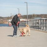 Іграшка Trixie для собак Лобстер плюш червоний 34 см - Зображення 3