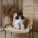 Футболка Pet Fashion Polo для собак S - Зображення 3