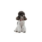 Аксесуар шийний Pet Fashion Ruta для собак XS-XS2 - Зображення 2