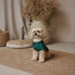 Сорочка Pet Fashion Seaman для собак XХS - Зображення 3