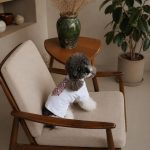 Футболка Pet Fashion Ukraine для собак L - Зображення 3