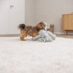 Іграшка Trixie для собак Слон з пискавкою плюш 41 см - Зображення 3