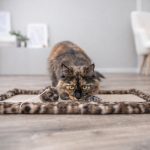 Іграшка Trixie для котів Вудочка з серцем котяча м_ята плюш/дерево 50 см - Зображення 4