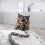 Іграшка Trixie для котів Вудочка з плюшевою котяча м'ята плюш/пластик 51 см - Зображення 4