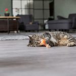 Іграшка Trixie для котів Дракон котяча м'ята плюш в асортименті 20 см - Зображення 3