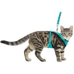 Шлея Trixie  для котів Y-Harness бірюзовий, розмір 39-60 см/10мм,  1 м - Зображення 2