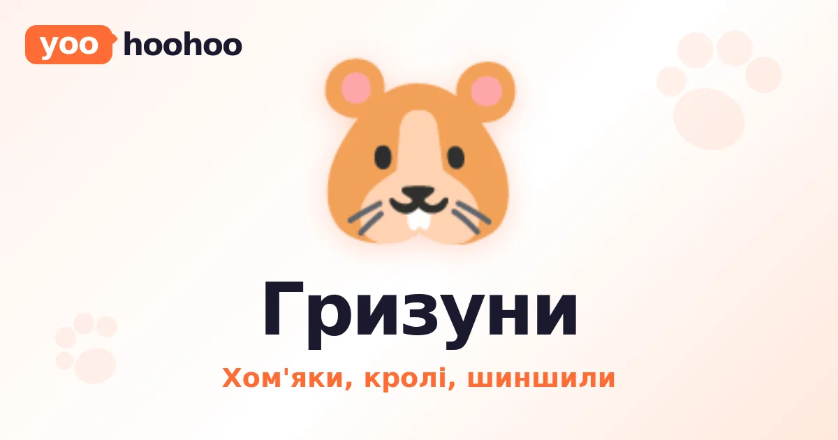 Кролик стає стовпчиком: він спокійний
