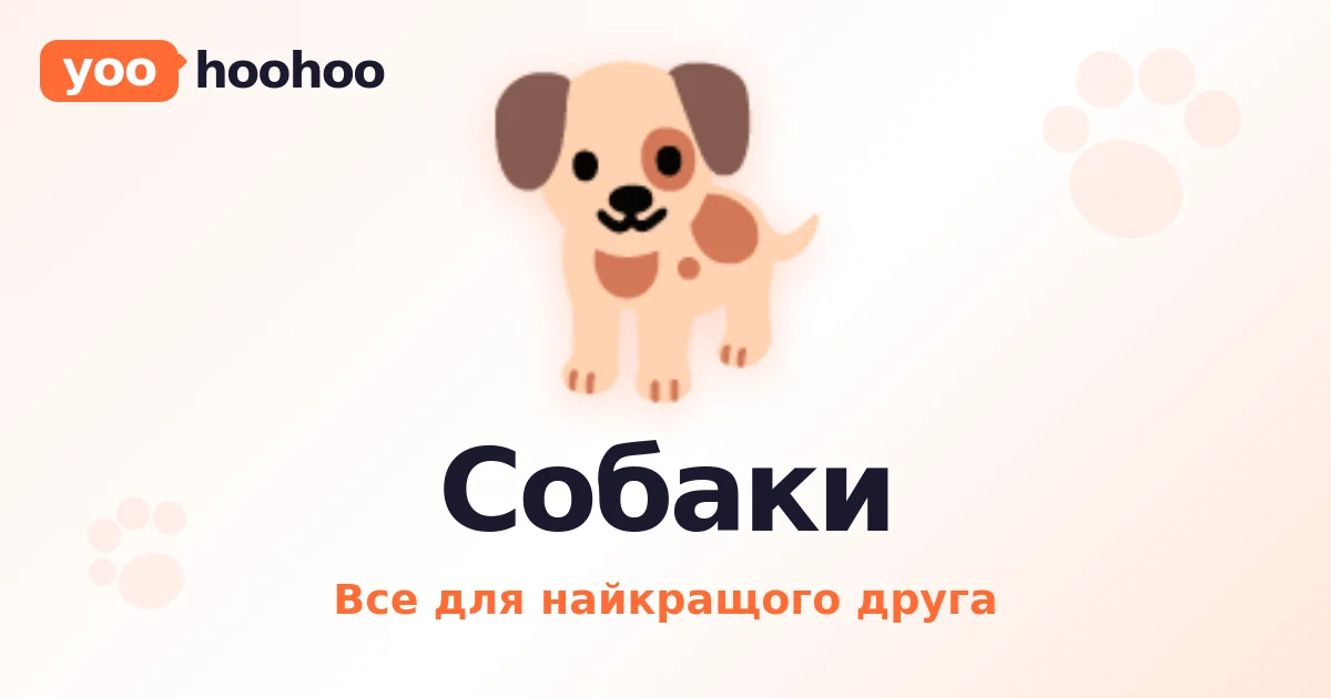 Собака п’є з унітаза: вода там холодніша