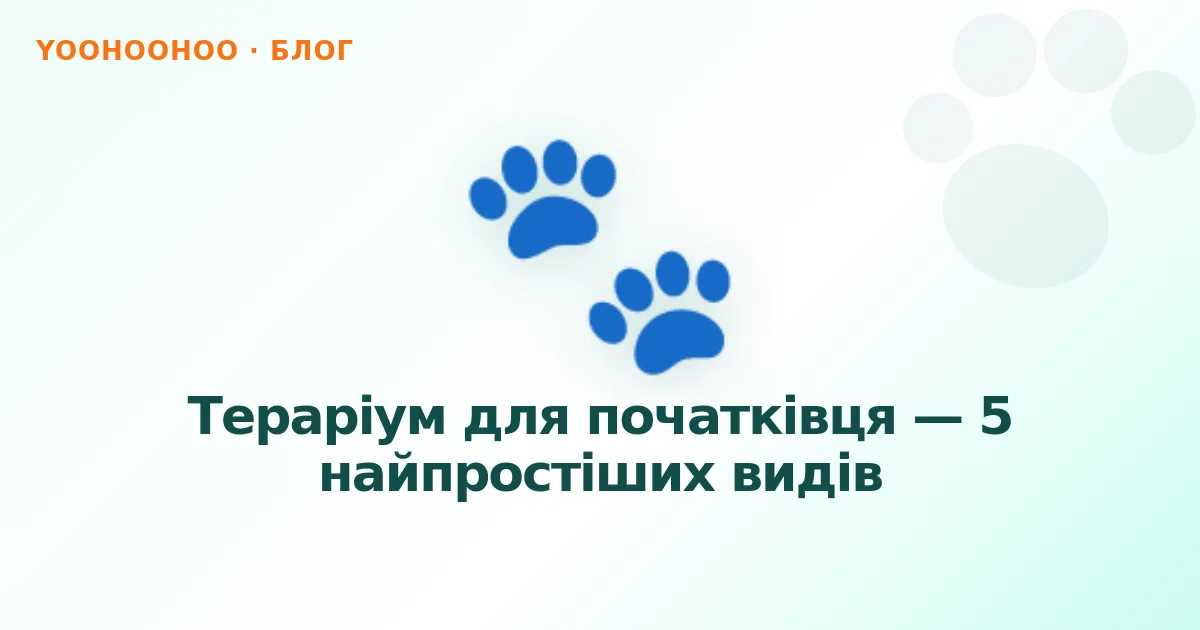 Тераріум для початківця — 5 найпростіших видів