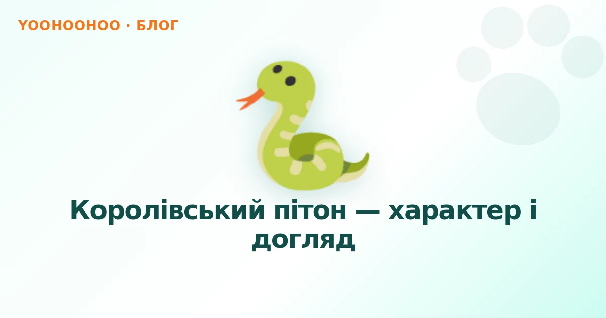 Королівський пітон — характер і догляд