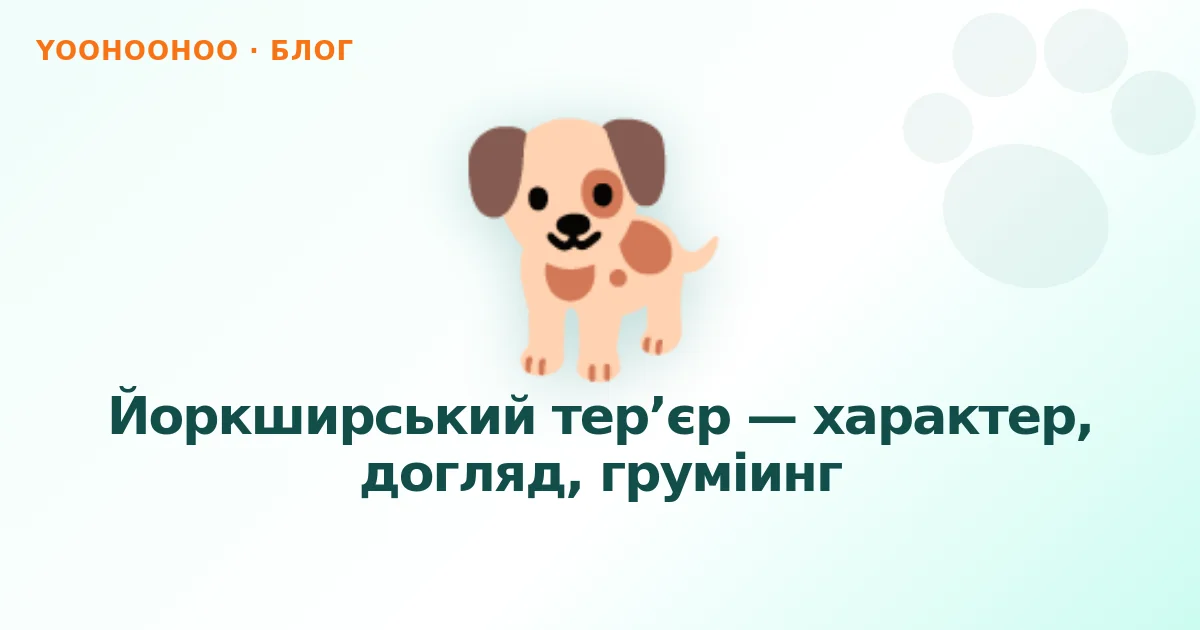 Йоркширський тер’єр — характер, догляд, груміинг