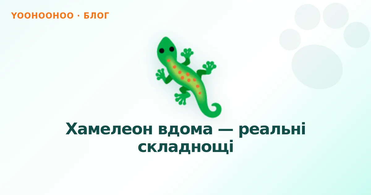 Хамелеон вдома — реальні складнощі