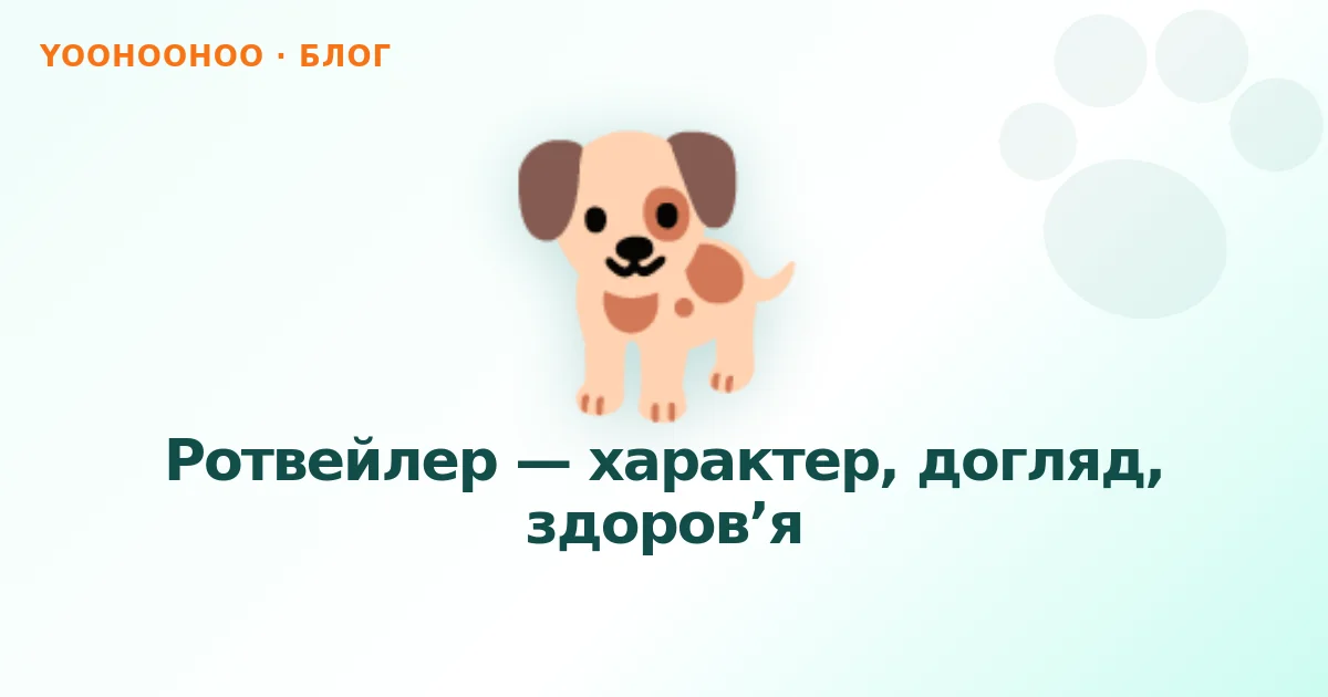 Ротвейлер — характер, догляд, здоров’я