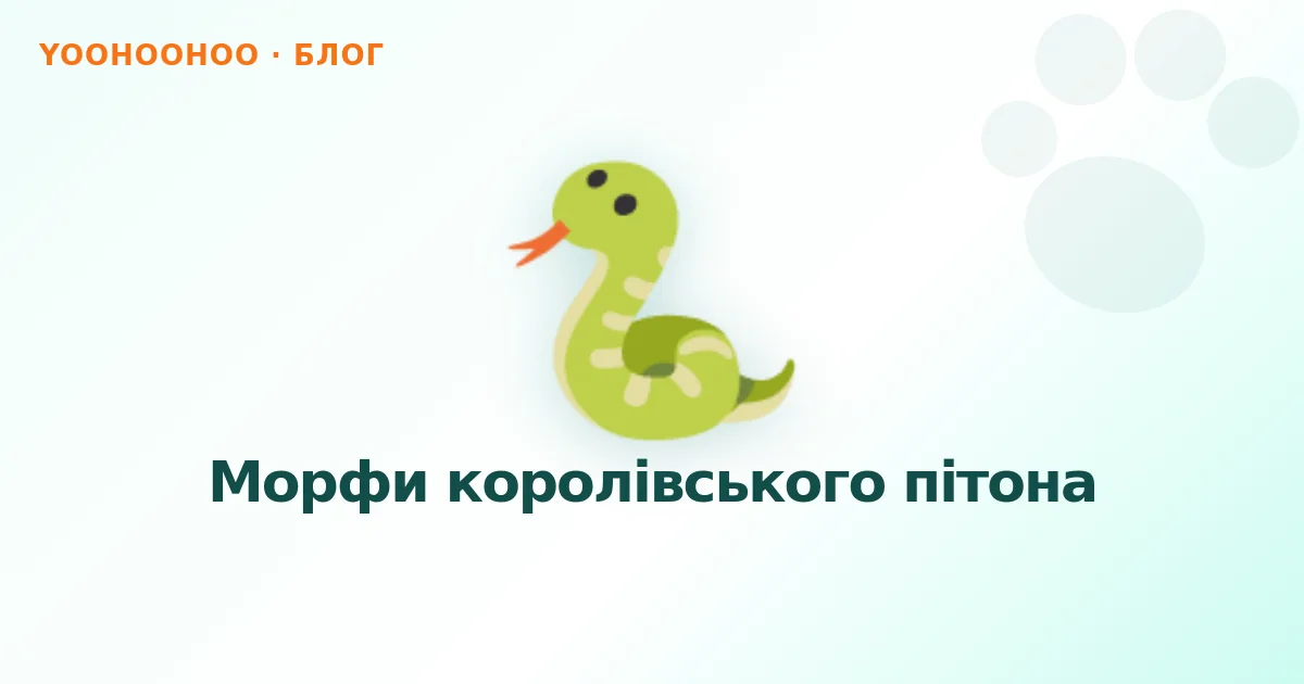 Морфи королівського пітона