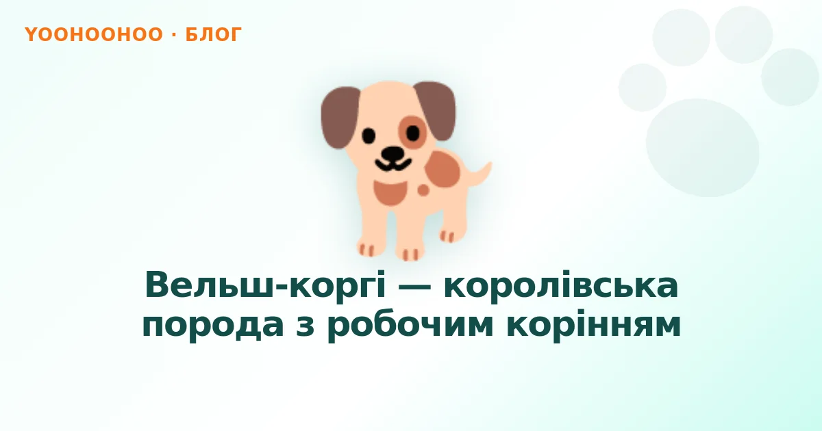 Вельш-коргі — королівська порода з робочим корінням