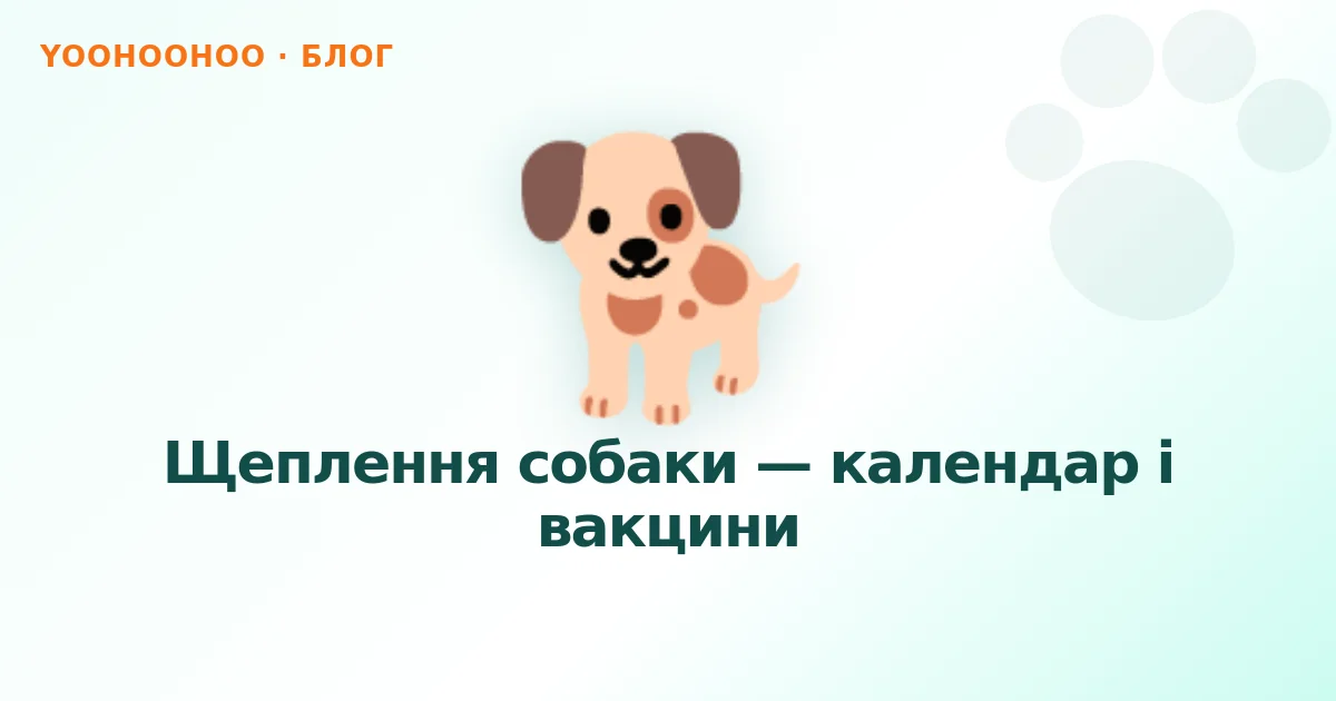 Щеплення собаки — календар і вакцини