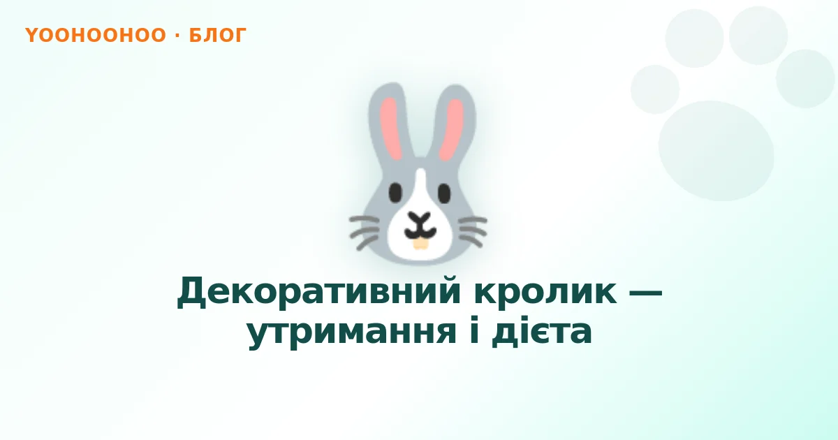 Декоративний кролик — утримання і дієта