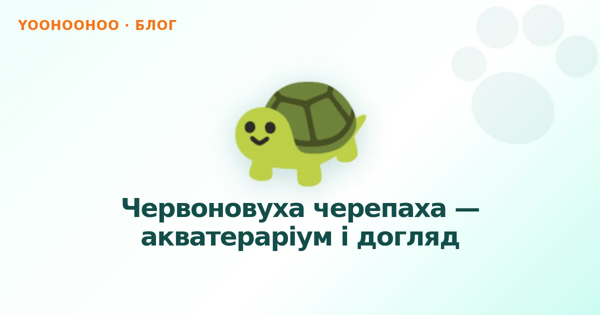 Червоновуха черепаха — акватераріум і догляд