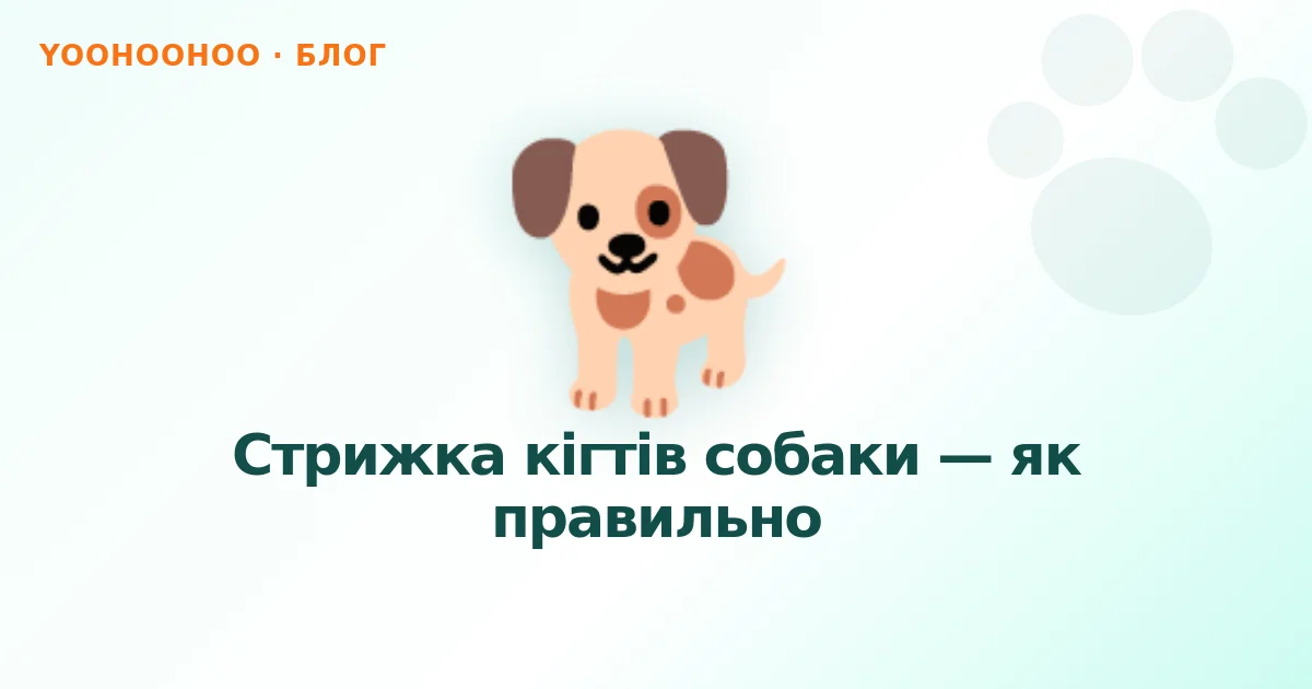Стрижка кігтів собаки — як правильно