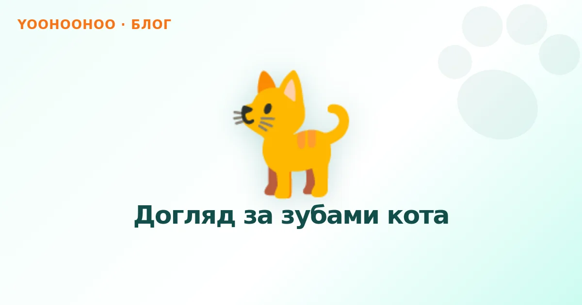 Догляд за зубами кота