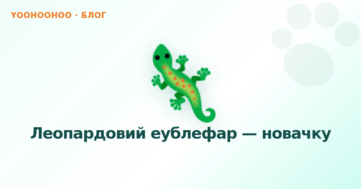 Леопардовий еублефар — новачку