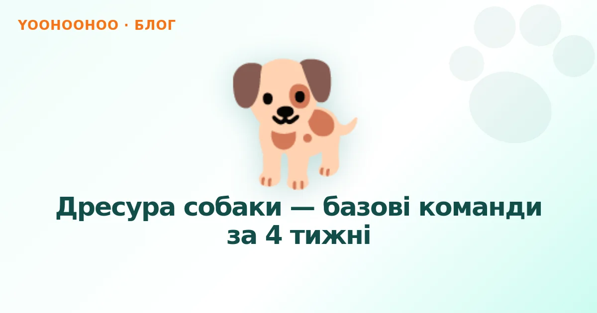 Дресура собаки — базові команди за 4 тижні