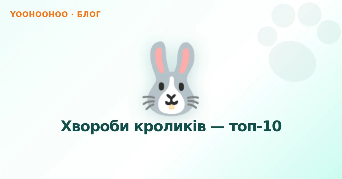 Хвороби кроликів — топ-10