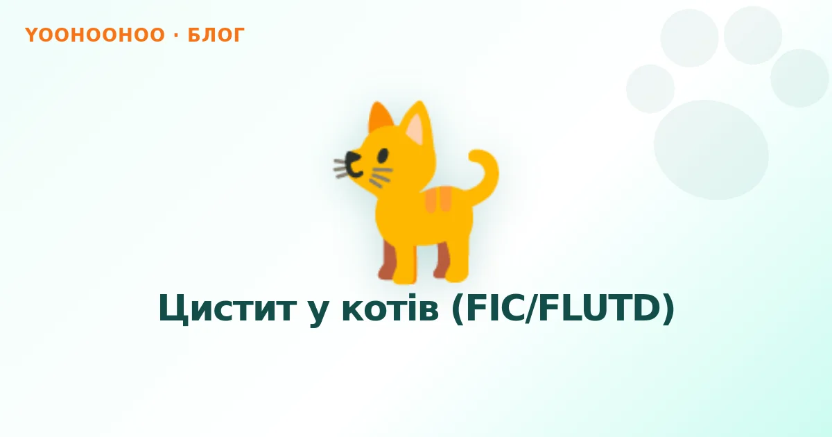 Цистит у котів (FIC/FLUTD)