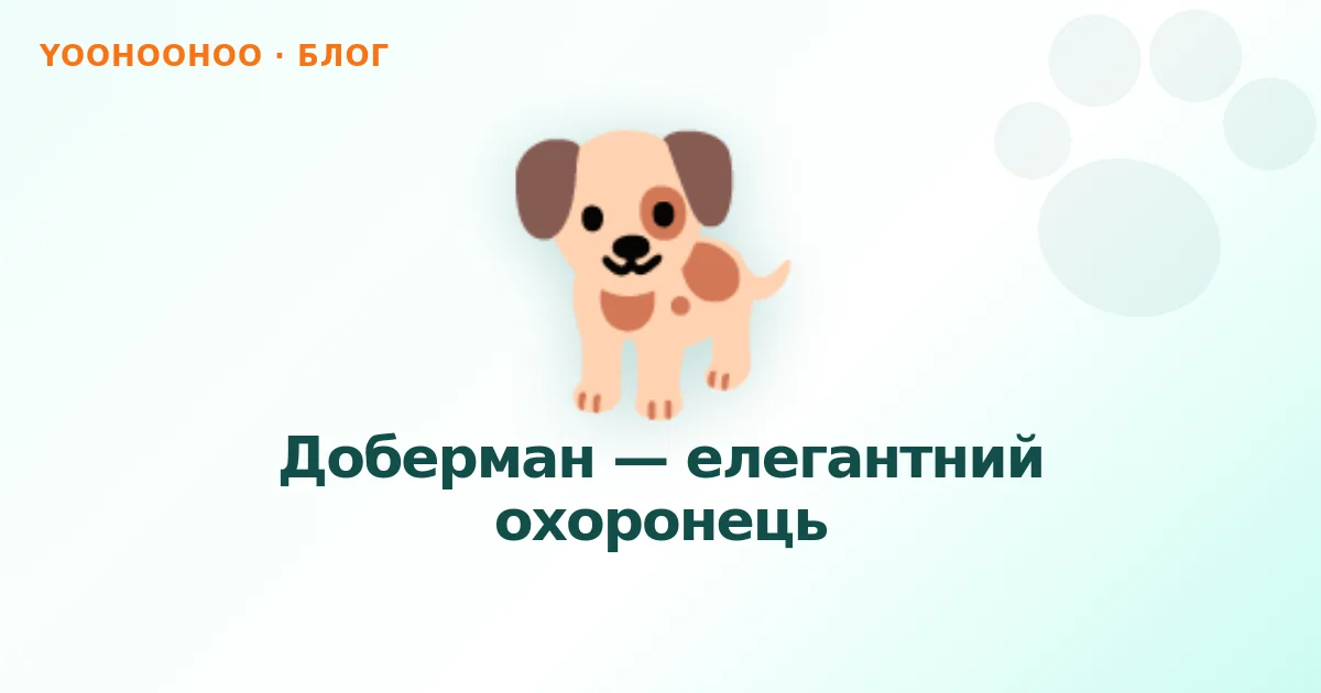 Доберман — елегантний охоронець