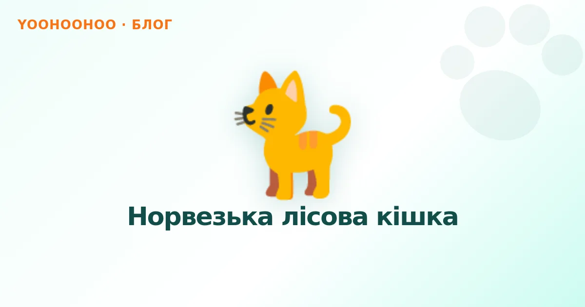 Норвезька лісова кішка